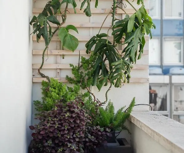 Hospitalityrome Artisti House Apartment Rome